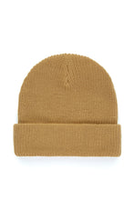 Load image into Gallery viewer, Beanie with Ted Logo